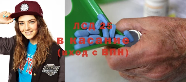 прущие грибы Абинск