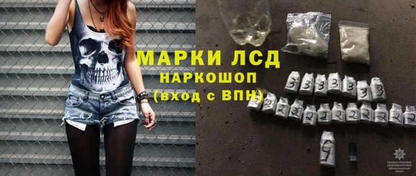 прущие грибы Абинск