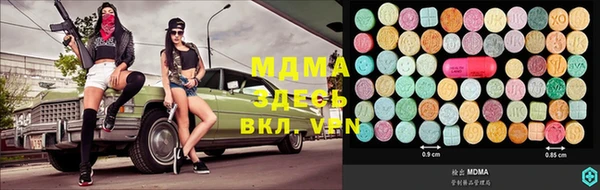 прущие грибы Абинск