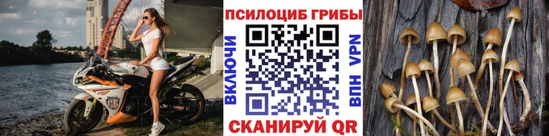 Псилоцибиновые грибы GOLDEN TEACHER  Бобров 